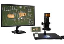 Enlivex, il campo largo di Renzi: a sorpresa nel cda della biotech