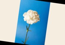 Forzare il blocco del bipolarismo e liberare energie nuove