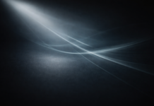 La zona d’ombra che avvolge i Centri sociali