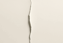 Oltre l’emozione. Capire l’odio per difendere la convivenza democratica