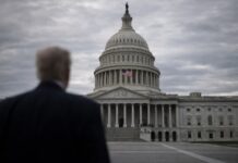 Trump, il potere senza argini