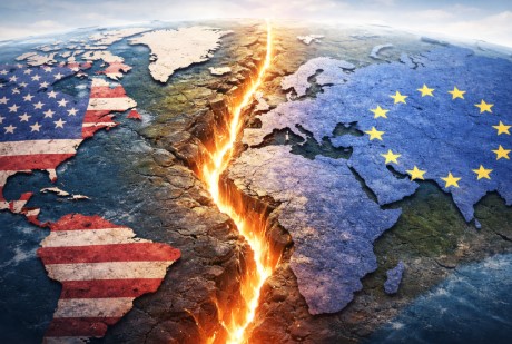 Immagine 2026-01-29 075524