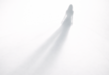 Libertà, giustizia sociale, desiderio: i legami che reggono la civiltà