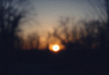 Grande disagio degli elettori, immagine sfocata dell’alternativa