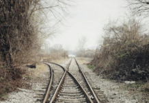 Forza Italia al bivio: marginalità o nuova ambizione di leadership