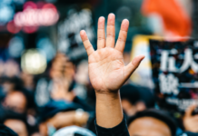 Democrazia, elezioni e partecipazione