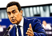 Con Vannacci non cambia solo la politica, sta cambiando l’elettore italiano