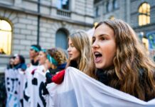 Giovani, politica e promessa democratica