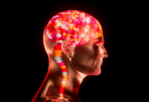 Un Nobel accende il cervello. E la felicità?